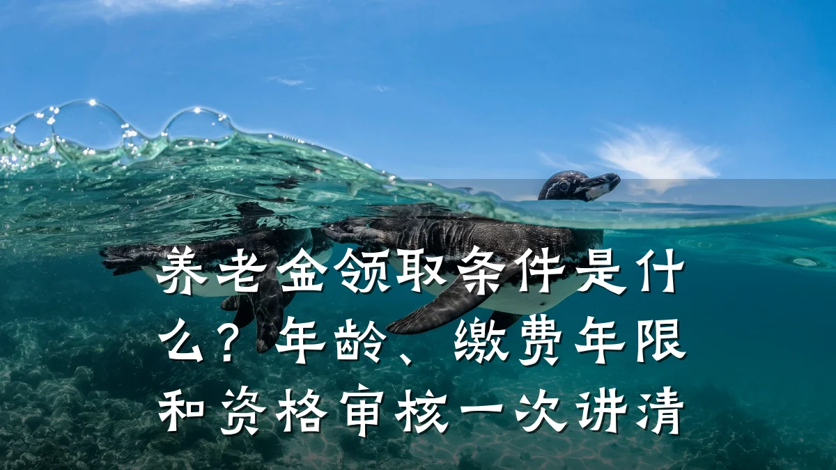养老金领取条件是什么?年龄、缴费年限和资格审核一次讲清