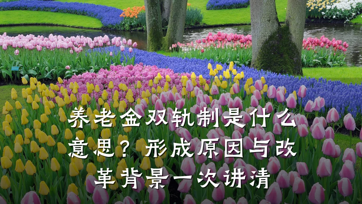 养老金双轨制是什么意思？形成原因与改革背景一次讲清