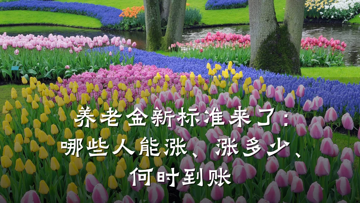 养老金新标准来了:哪些人能涨、涨多少、何时到账