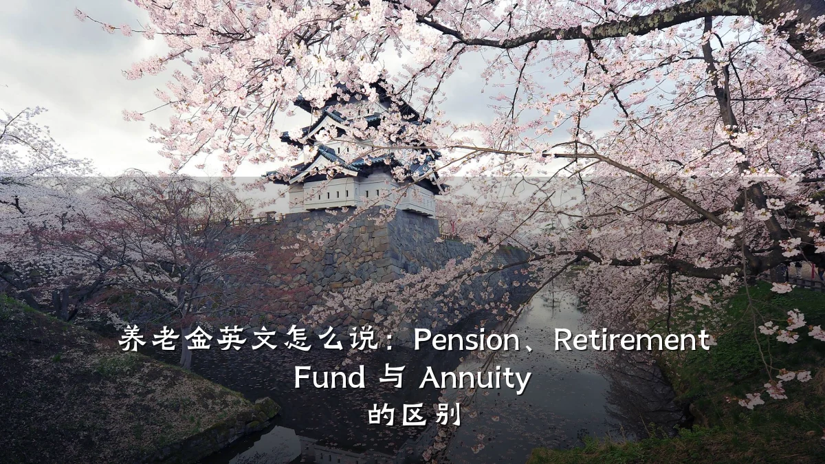养老金英文怎么说:Pension、Retirement Fund 与 Annuity 的区别
