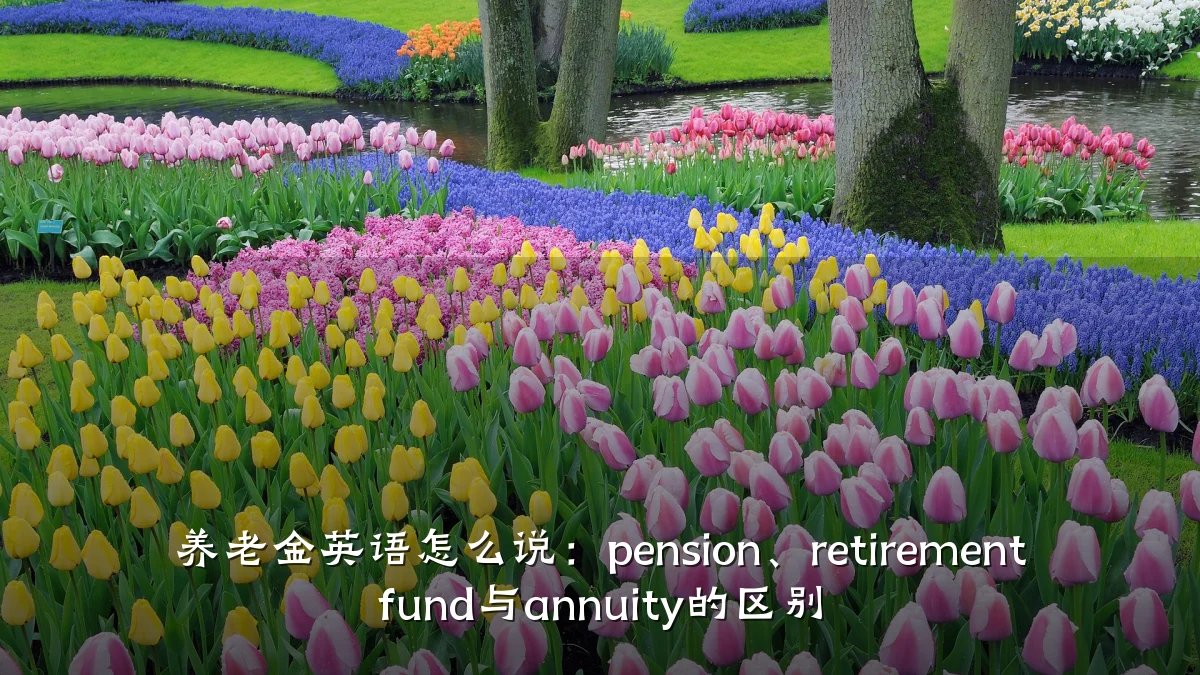 养老金英语怎么说:pension、retirement fund与annuity的区别