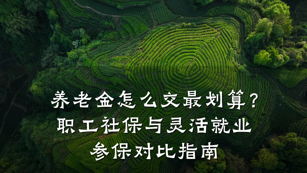养老金怎么交最划算？职工社保与灵活就业参保对比指南