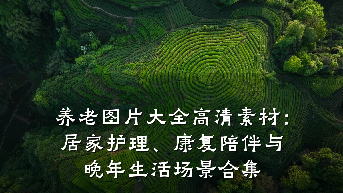 养老图片大全高清素材:居家护理、康复陪伴与晚年生活场景合集