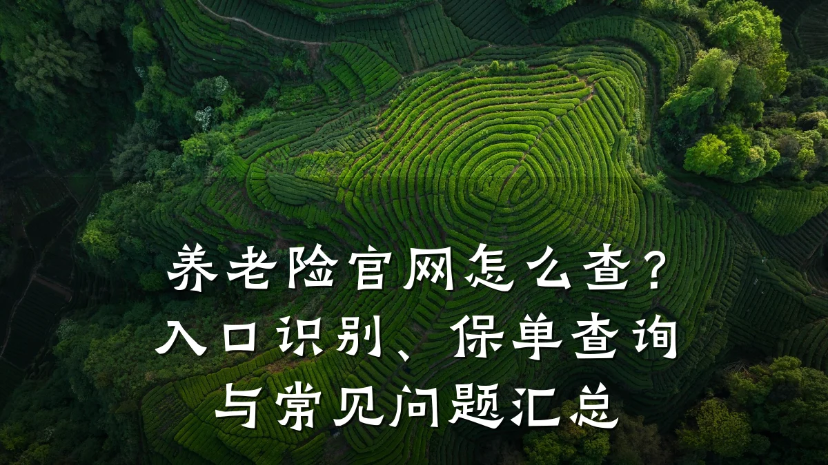 养老险官网怎么查？入口识别、保单查询与常见问题汇总