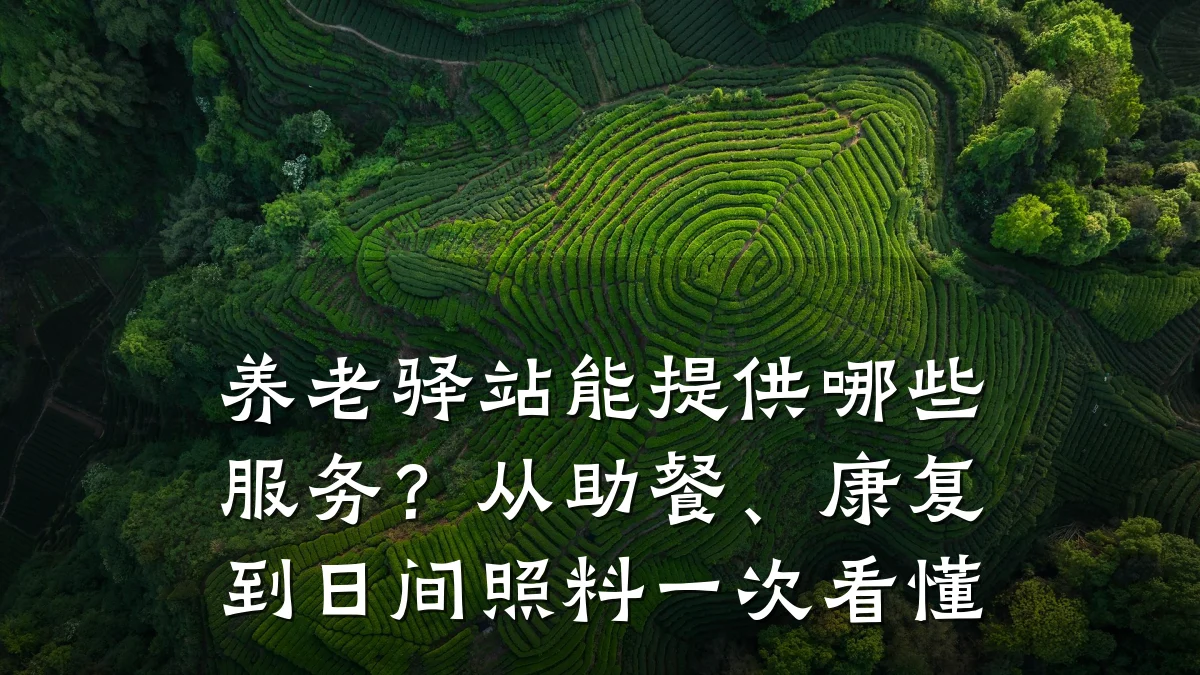 养老驿站能提供哪些服务?从助餐、康复到日间照料一次看懂