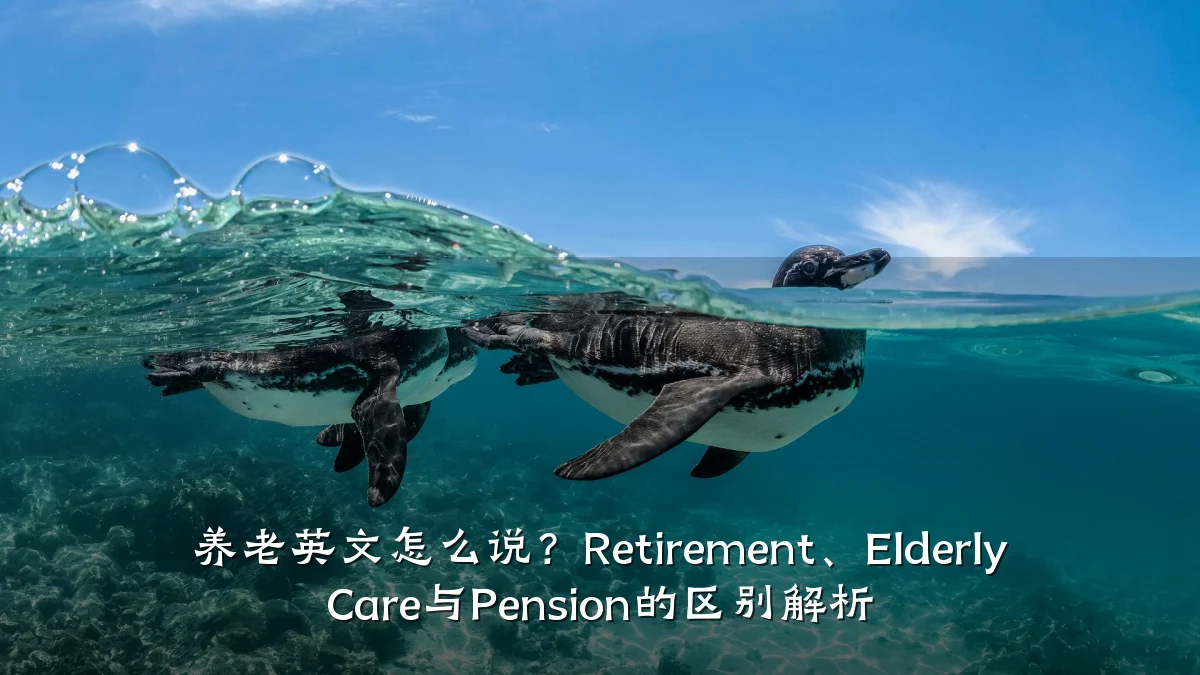 养老英文怎么说?Retirement、Elderly Care与Pension的区别解析