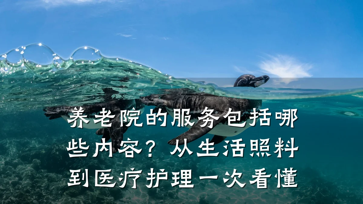 养老院的服务包括哪些内容?从生活照料到医疗护理一次看懂