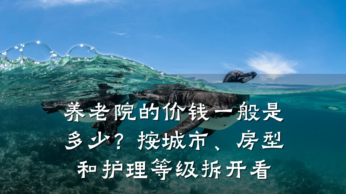 养老院的价钱一般是多少?按城市、房型和护理等级拆开看