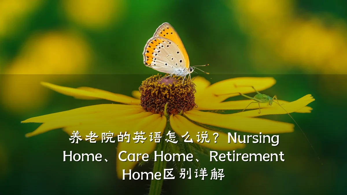 养老院的英语怎么说？Nursing Home、Care Home、Retirement Home区别详解