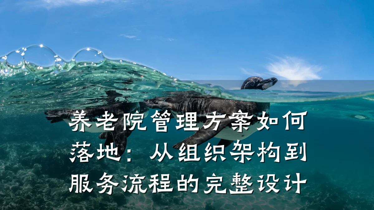 养老院管理方案如何落地:从组织架构到服务流程的完整设计