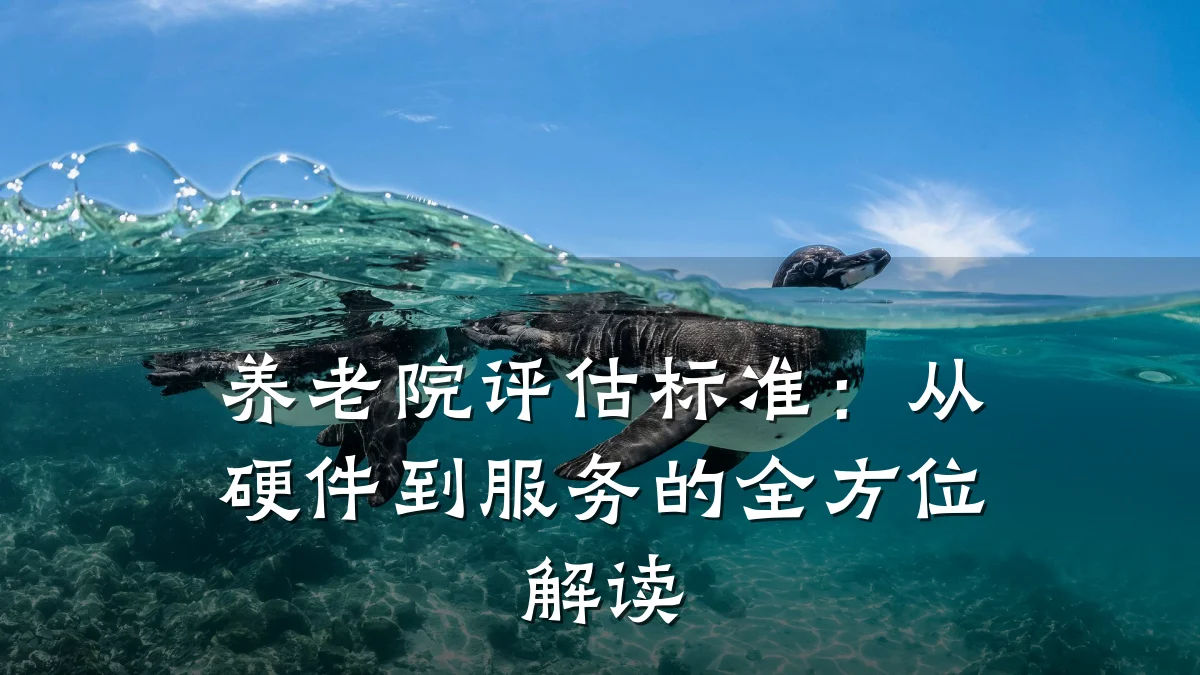 养老院评估标准：从硬件到服务的全方位解读