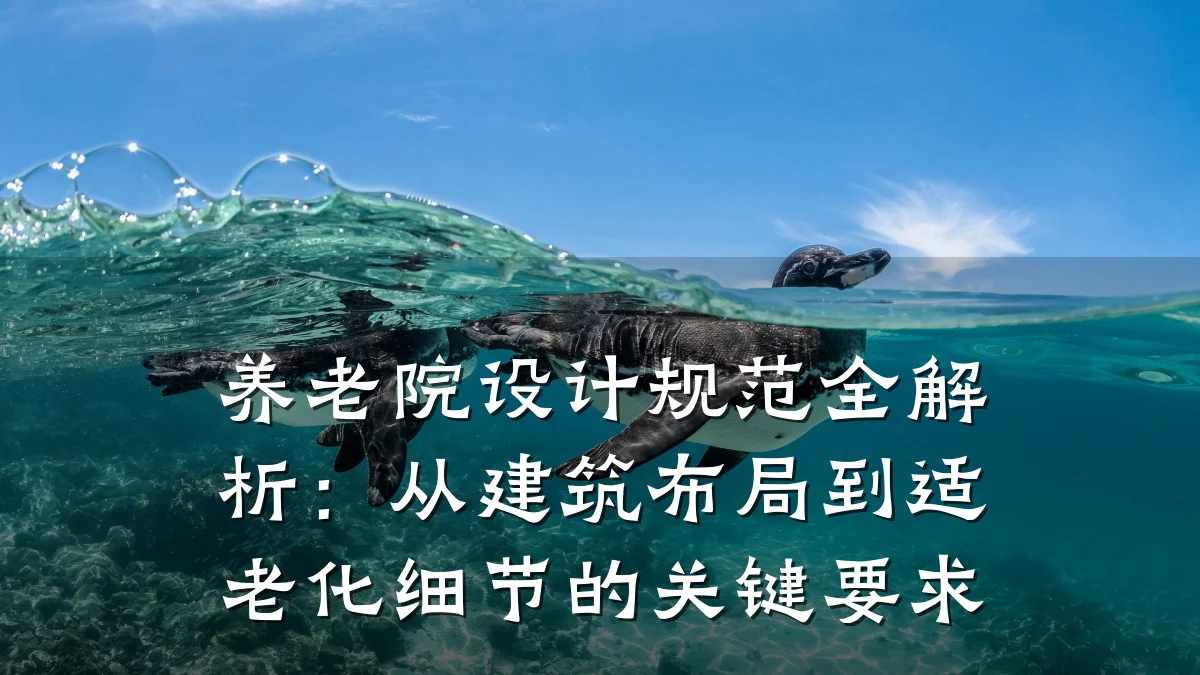 养老院设计规范全解析:从建筑布局到适老化细节的关键要求