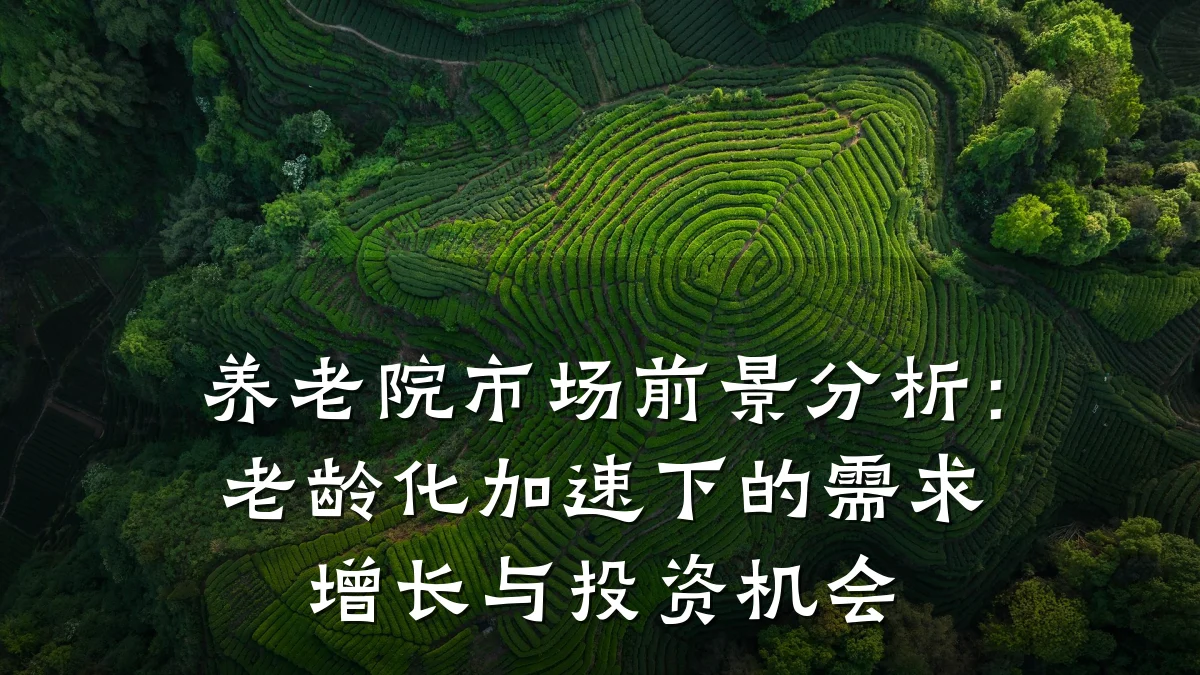 养老院市场前景分析:老龄化加速下的需求增长与投资机会