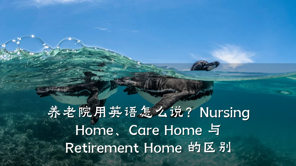 养老院用英语怎么说?Nursing Home、Care Home 与 Retirement Home 的区别