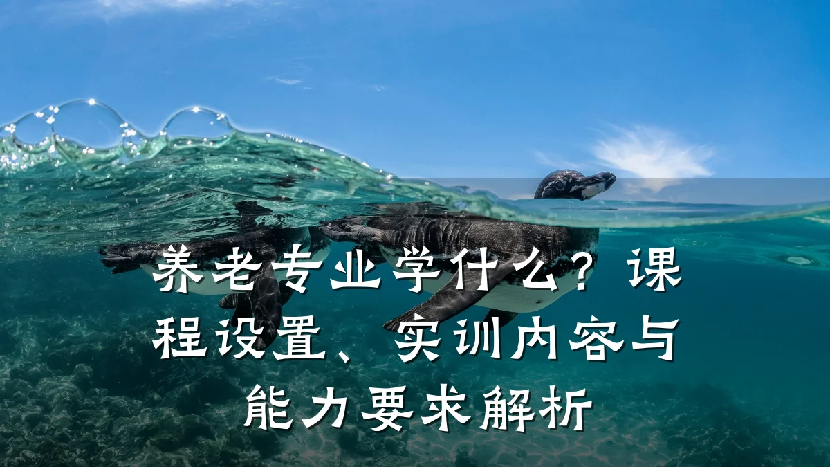 养老专业学什么?课程设置、实训内容与能力要求解析