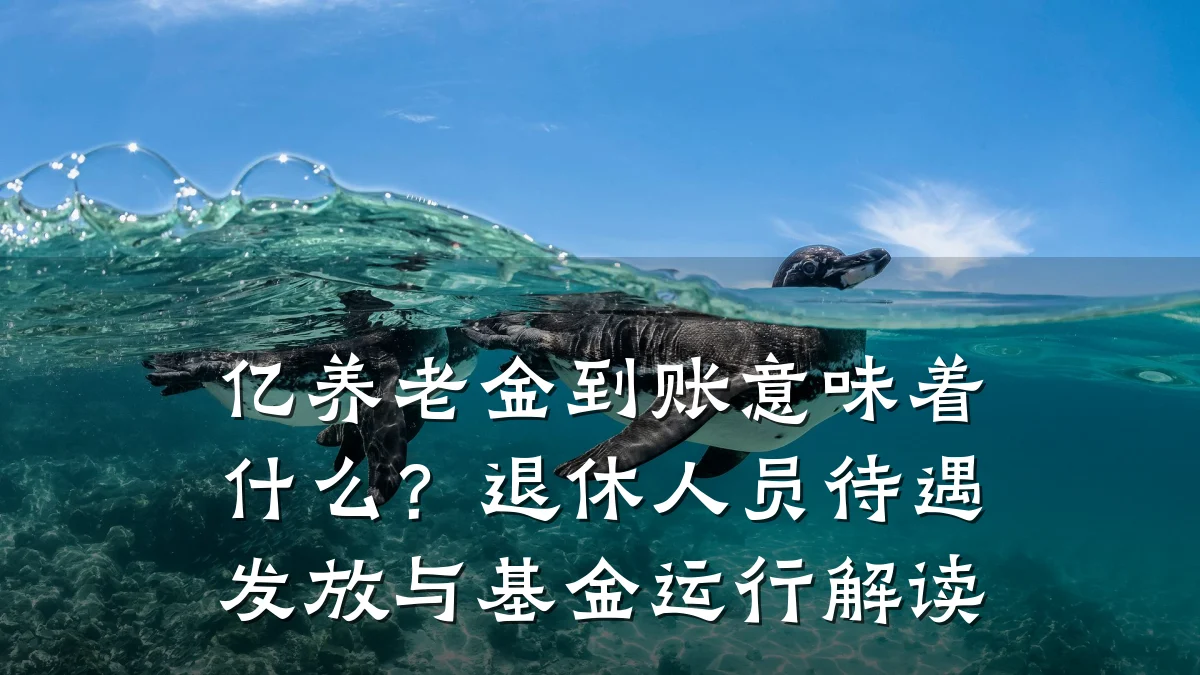 亿养老金到账意味着什么?退休人员待遇发放与基金运行解读