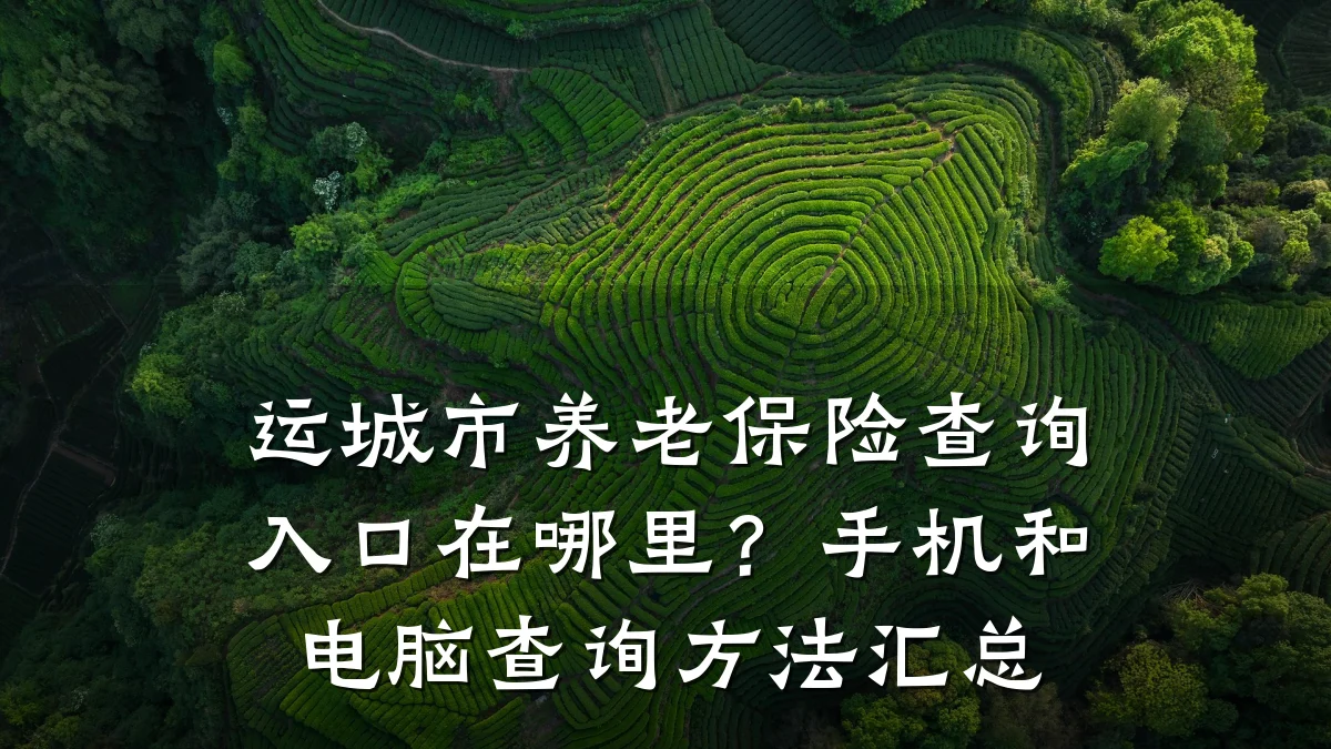 运城市养老保险查询入口在哪里?手机和电脑查询方法汇总