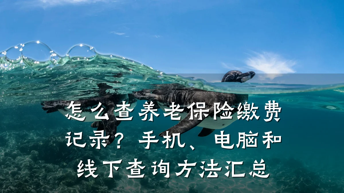 怎么查养老保险缴费记录?手机、电脑和线下查询方法汇总
