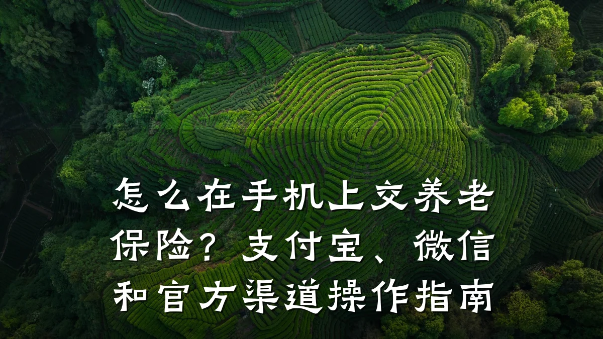 怎么在手机上交养老保险？支付宝、微信和官方渠道操作指南