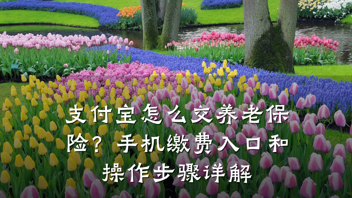 支付宝怎么交养老保险?手机缴费入口和操作步骤详解