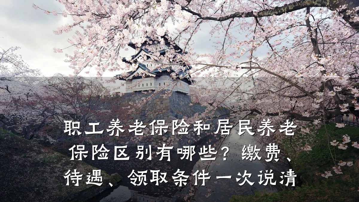 职工养老保险和居民养老保险区别有哪些？缴费、待遇、领取条件一次说清