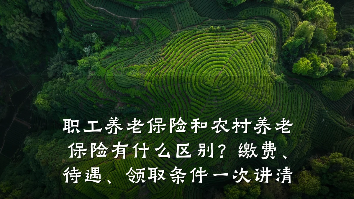 职工养老保险和农村养老保险有什么区别？缴费、待遇、领取条件一次讲清