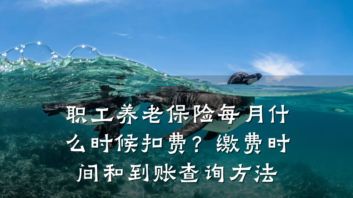 职工养老保险每月什么时候扣费?缴费时间和到账查询方法