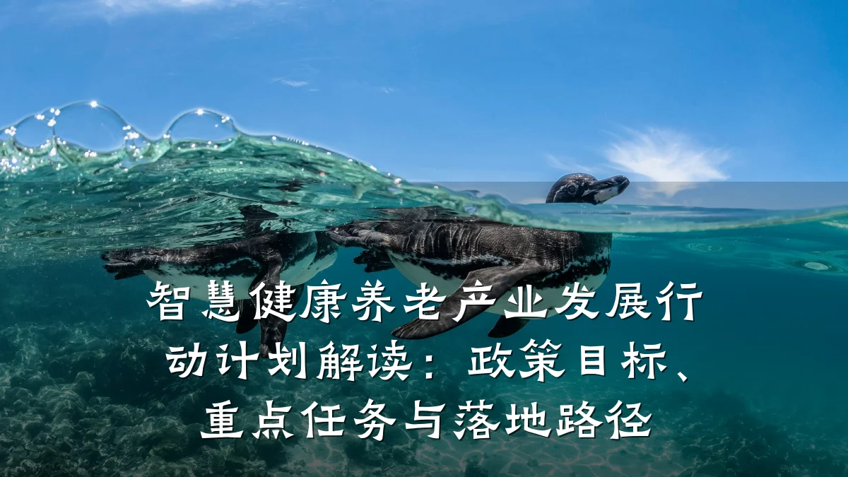 智慧健康养老产业发展行动计划解读：政策目标、重点任务与落地路径
