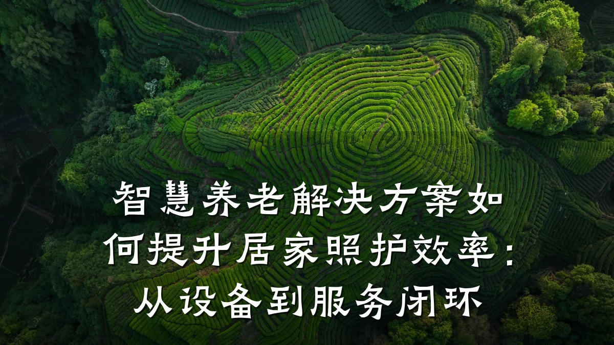 智慧养老解决方案如何提升居家照护效率：从设备到服务闭环