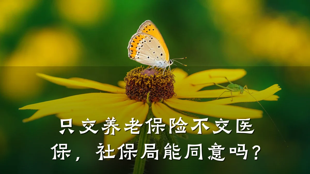 只交养老保险不交医保,社保局能同意吗?