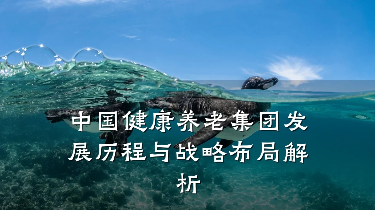 中国健康养老集团发展历程与战略布局解析