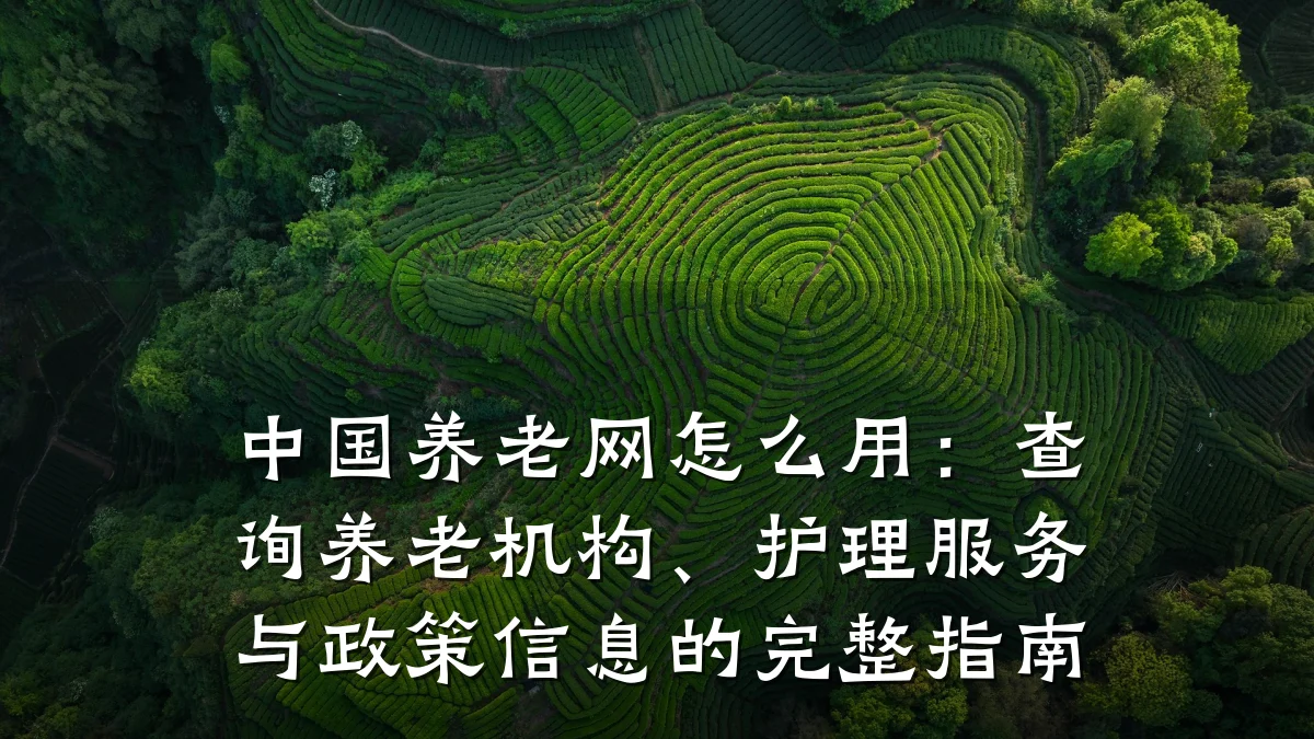 中国养老网怎么用：查询养老机构、护理服务与政策信息的完整指南