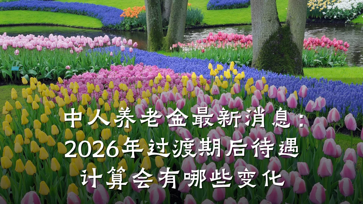 中人养老金最新消息：2026年过渡期后待遇计算会有哪些变化