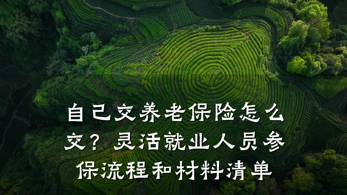 自己交养老保险怎么交?灵活就业人员参保流程和材料清单