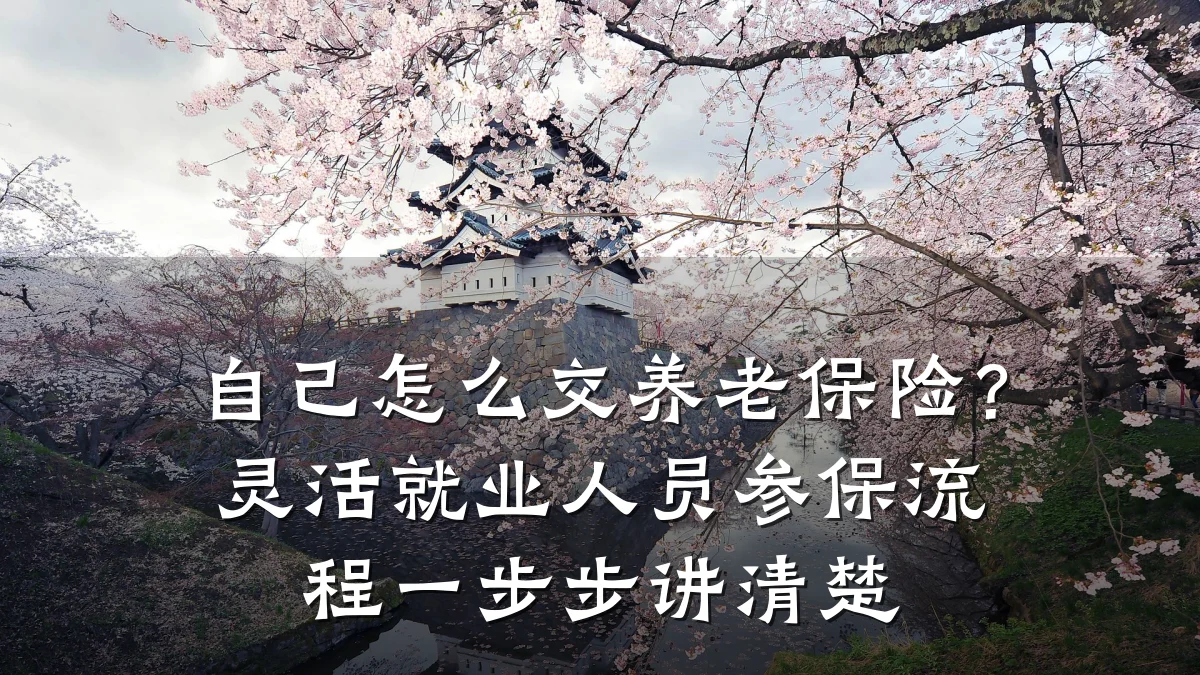 自己怎么交养老保险?灵活就业人员参保流程一步步讲清楚