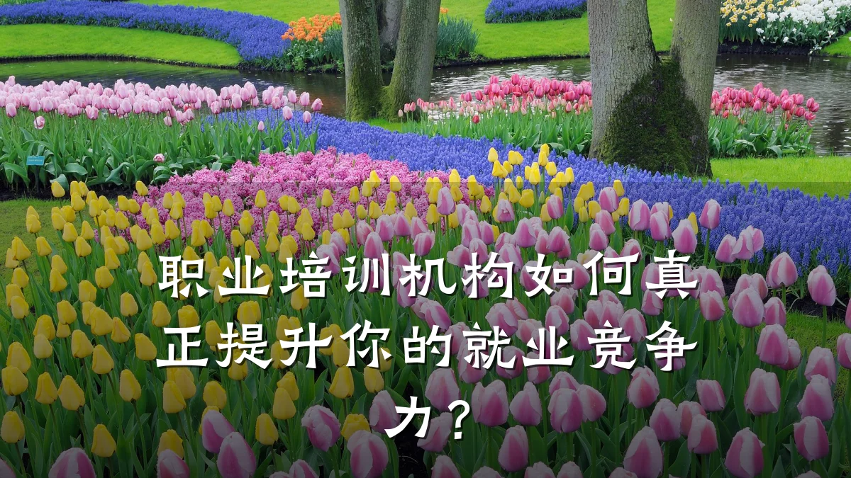 职业培训机构如何真正提升你的就业竞争力?