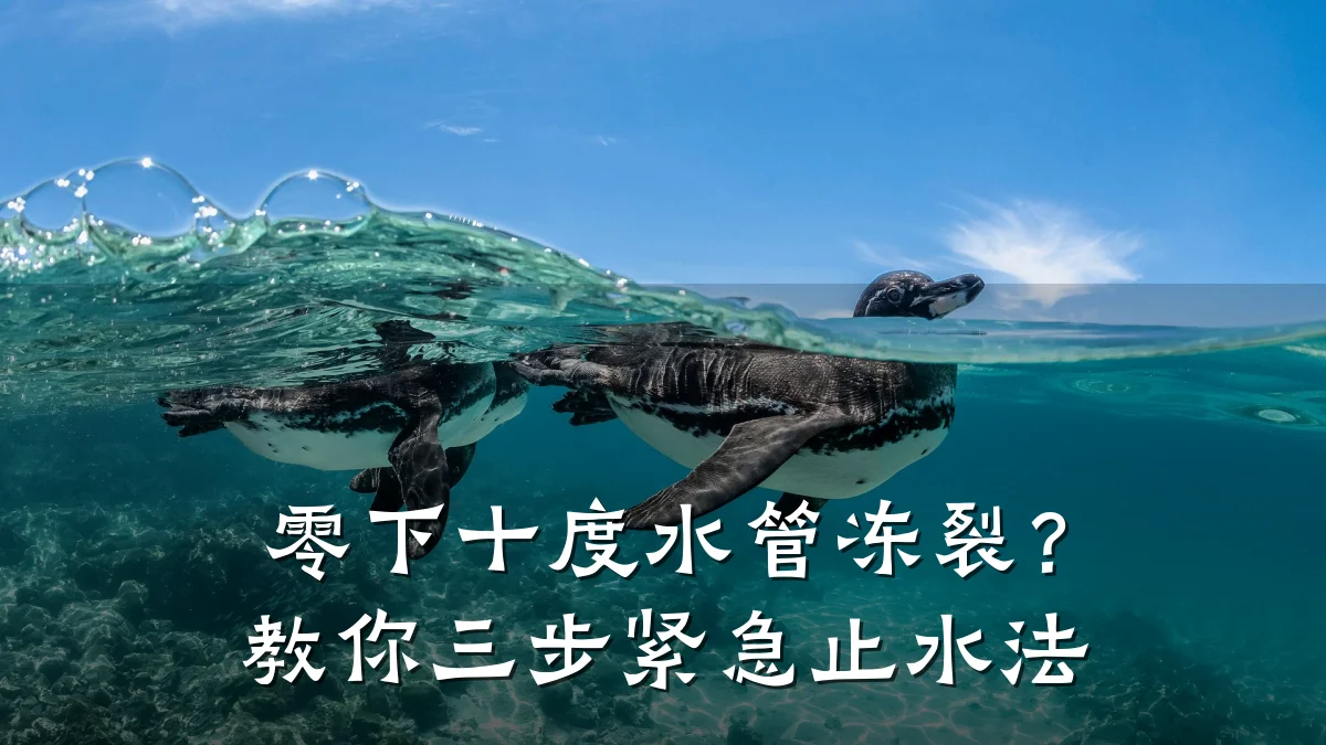 零下十度水管冻裂？教你三步紧急止水法