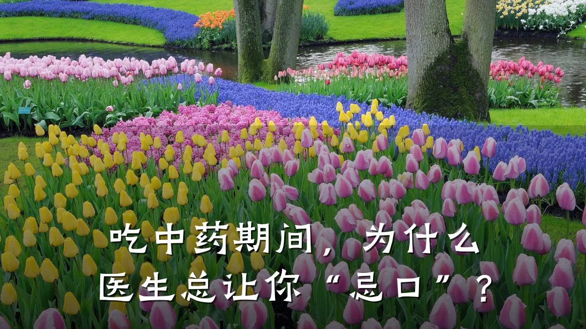 吃中药期间，为什么医生总让你“忌口”？