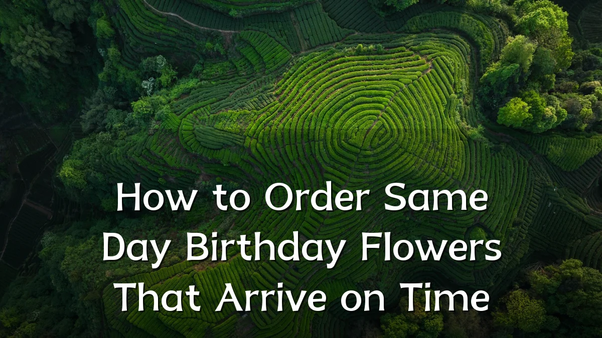 How to Order Same Day Birthday Flowers That Arrive on Time