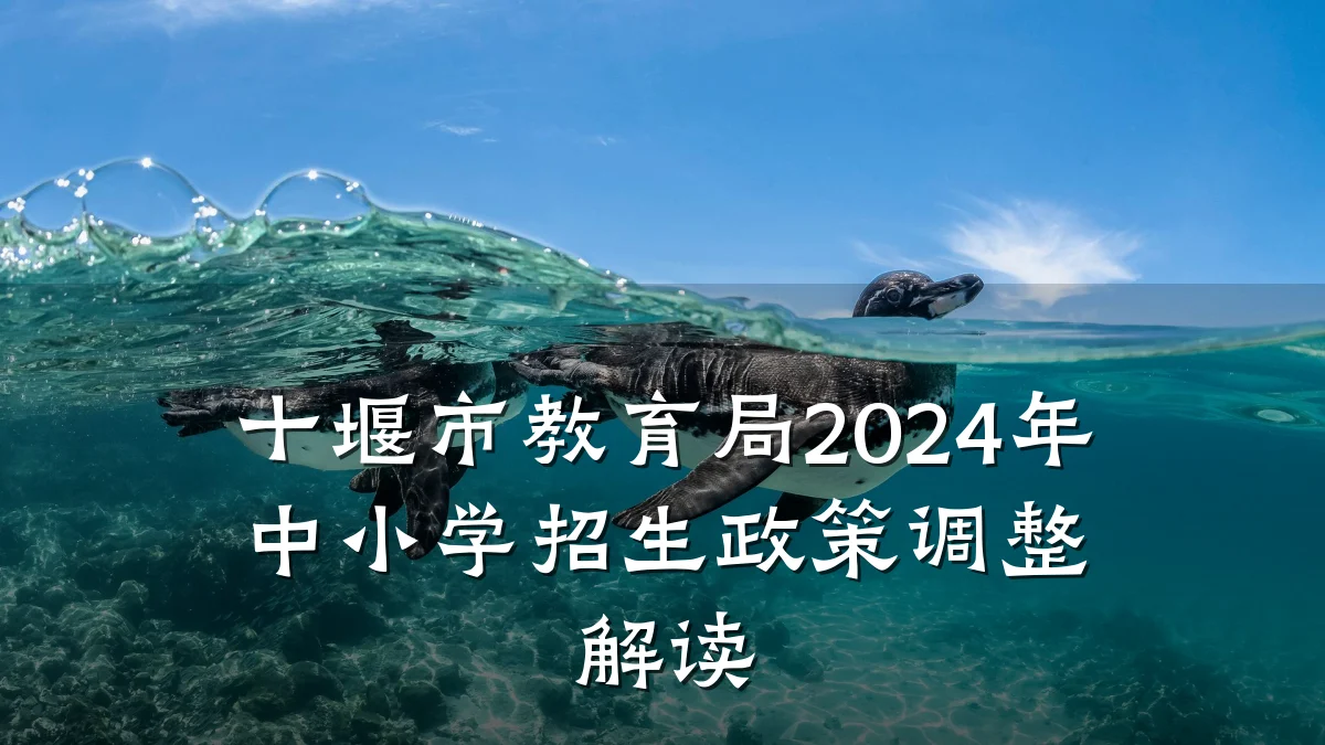 十堰市教育局2024年中小学招生政策调整解读