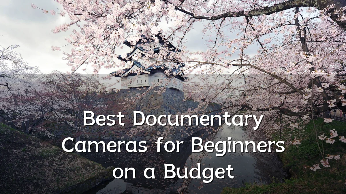 Best Documentary Cameras for Beginners on a Budget