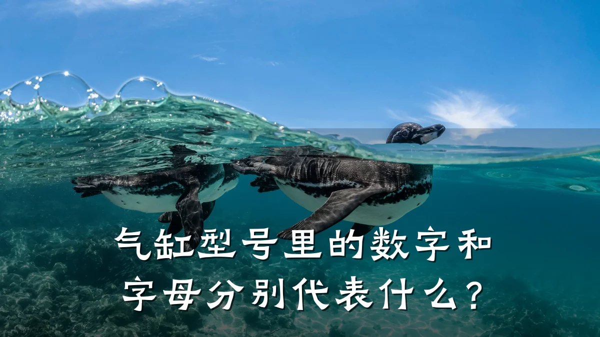 气缸型号里的数字和字母分别代表什么?