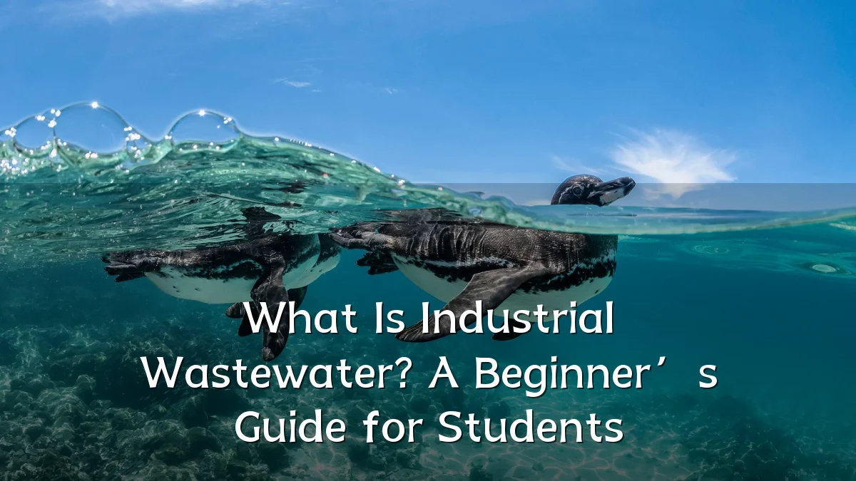 What Is Industrial Wastewater? A Beginner’s Guide for Students