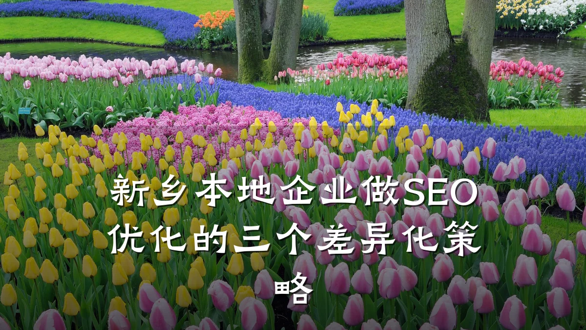 新乡本地企业做SEO优化的三个差异化策略