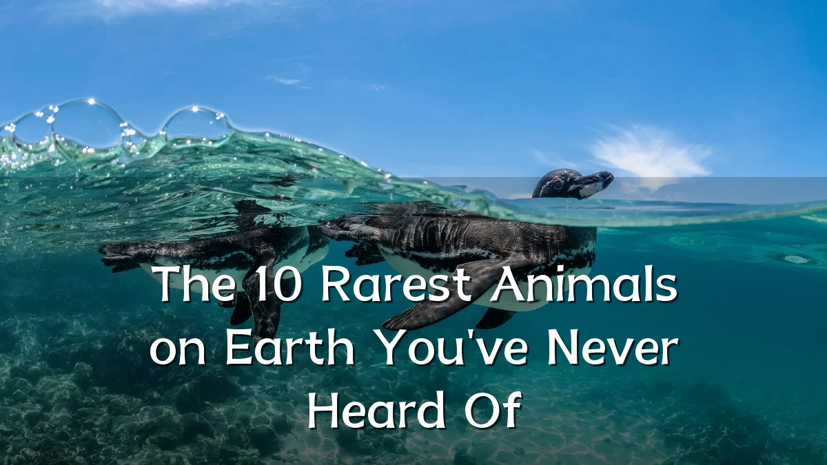 The 10 Rarest Animals on Earth You've Never Heard Of