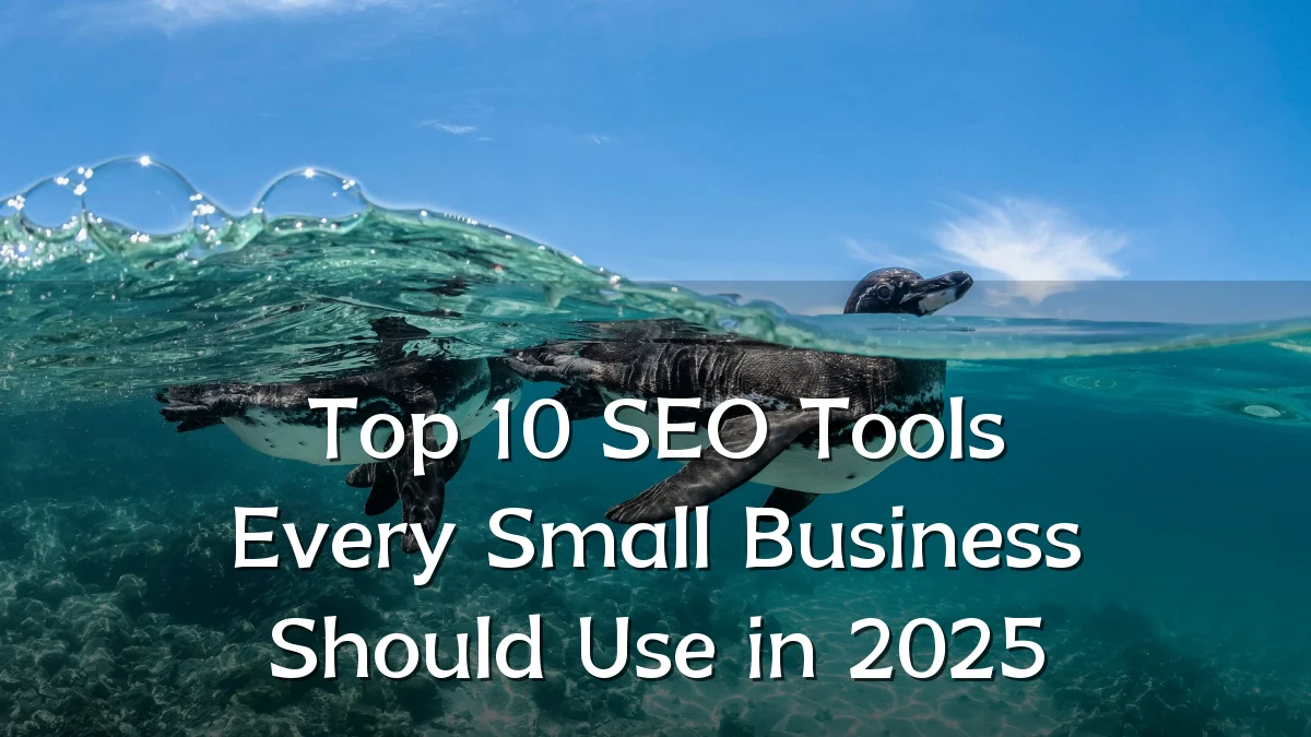 Top 10 SEO Tools Every Small Business Should Use in 2025