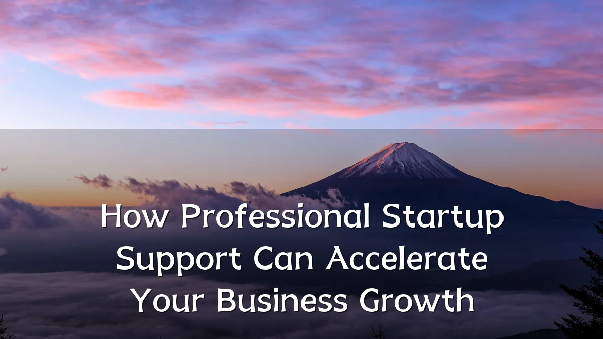 How Professional Startup Support Can Accelerate Your Business Growth