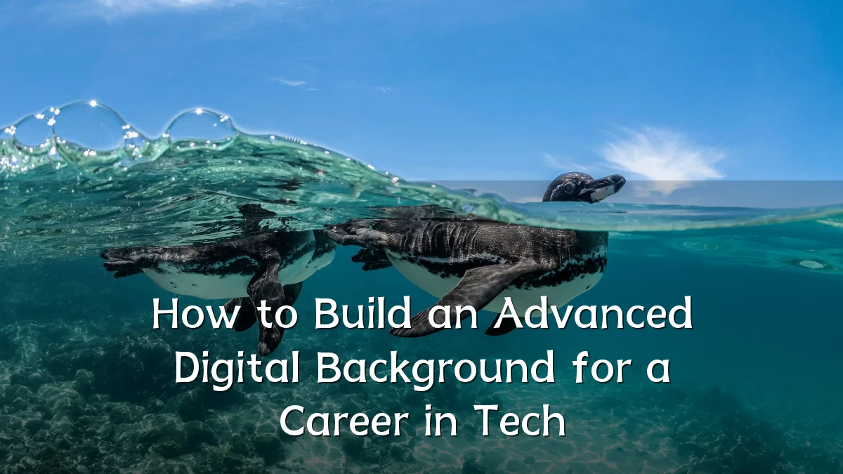 How to Build an Advanced Digital Background for a Career in Tech