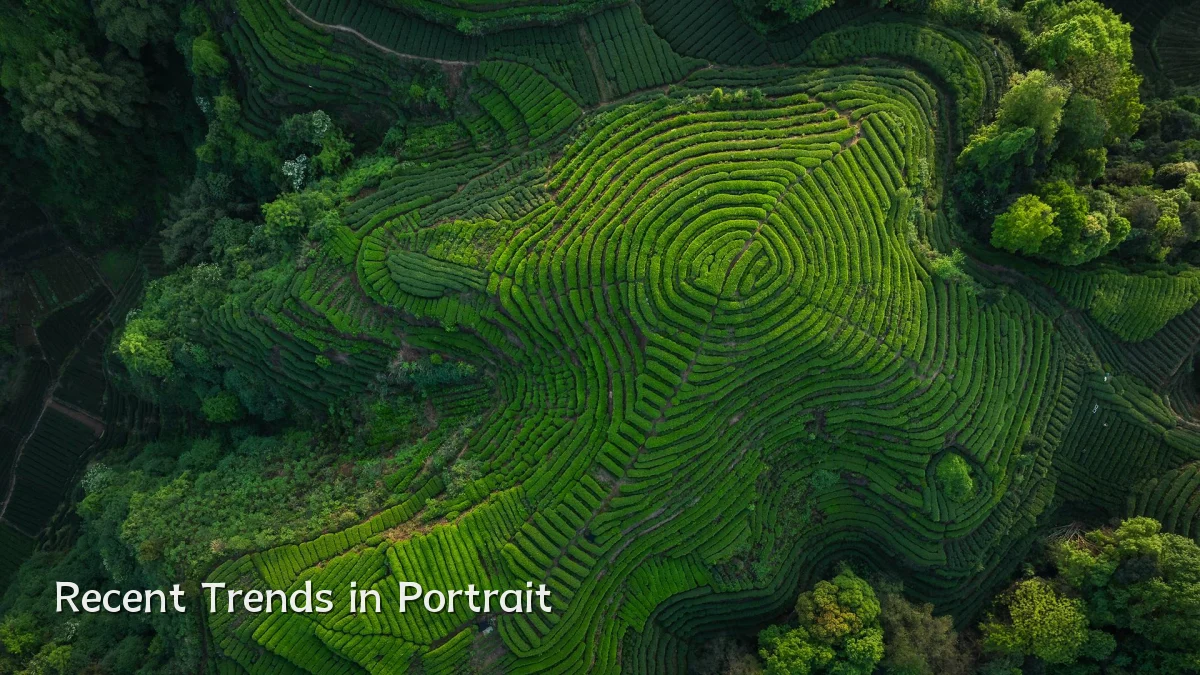 Recent Trends in Portrait