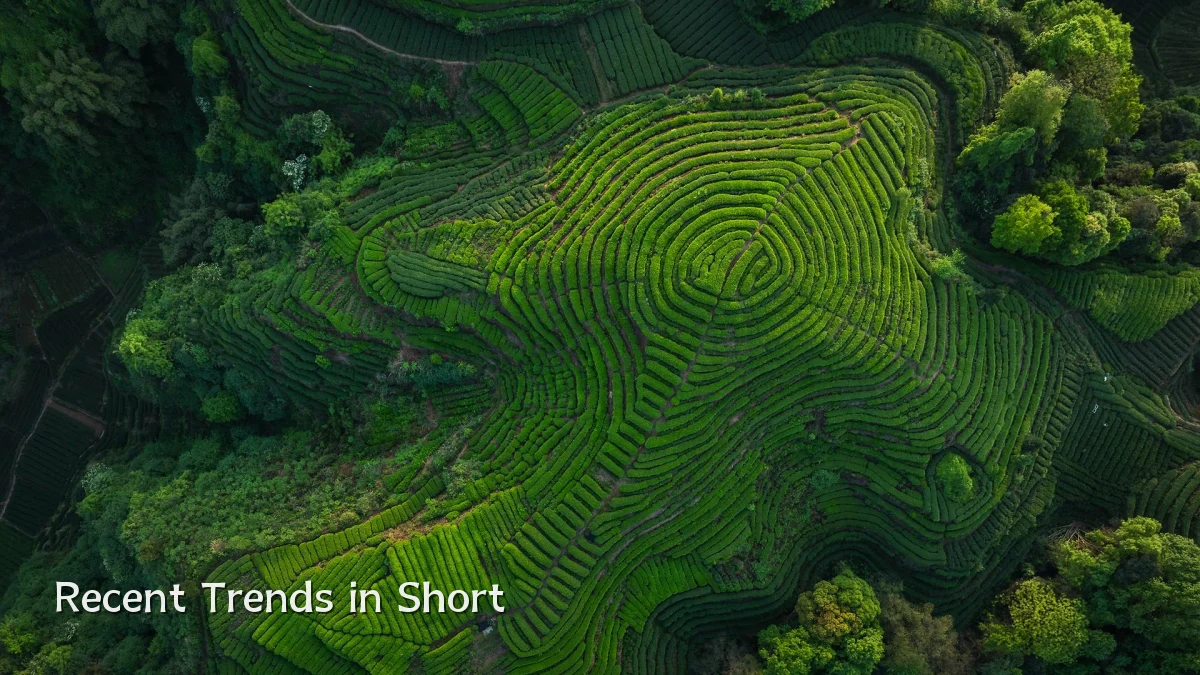 Recent Trends in Short
